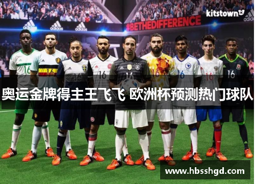 奥运金牌得主王飞飞 欧洲杯预测热门球队