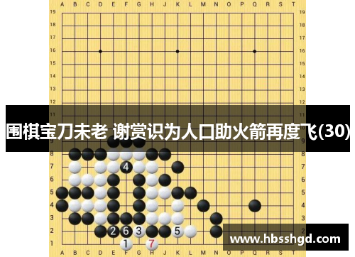 围棋宝刀未老 谢赏识为人口助火箭再度飞(30)